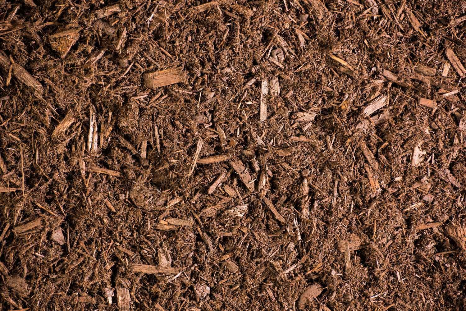 Brown wood mulch covering the ground