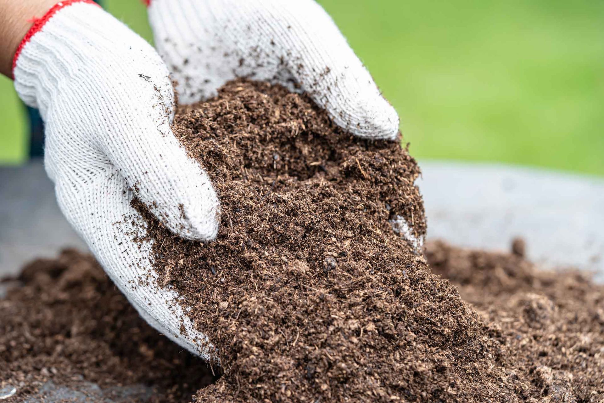 Gloved hands holding a mound of rich brown soil outdoors