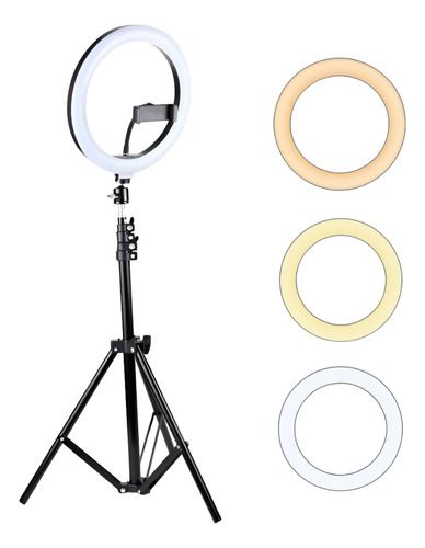 Anillo de luz sobre trípode con tres anillos de filtro intercambiables mostrados al lado.