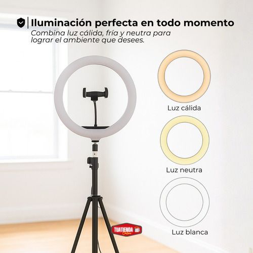Anillo de luz sobre trípode con tres anillos de filtro intercambiables mostrados al lado.