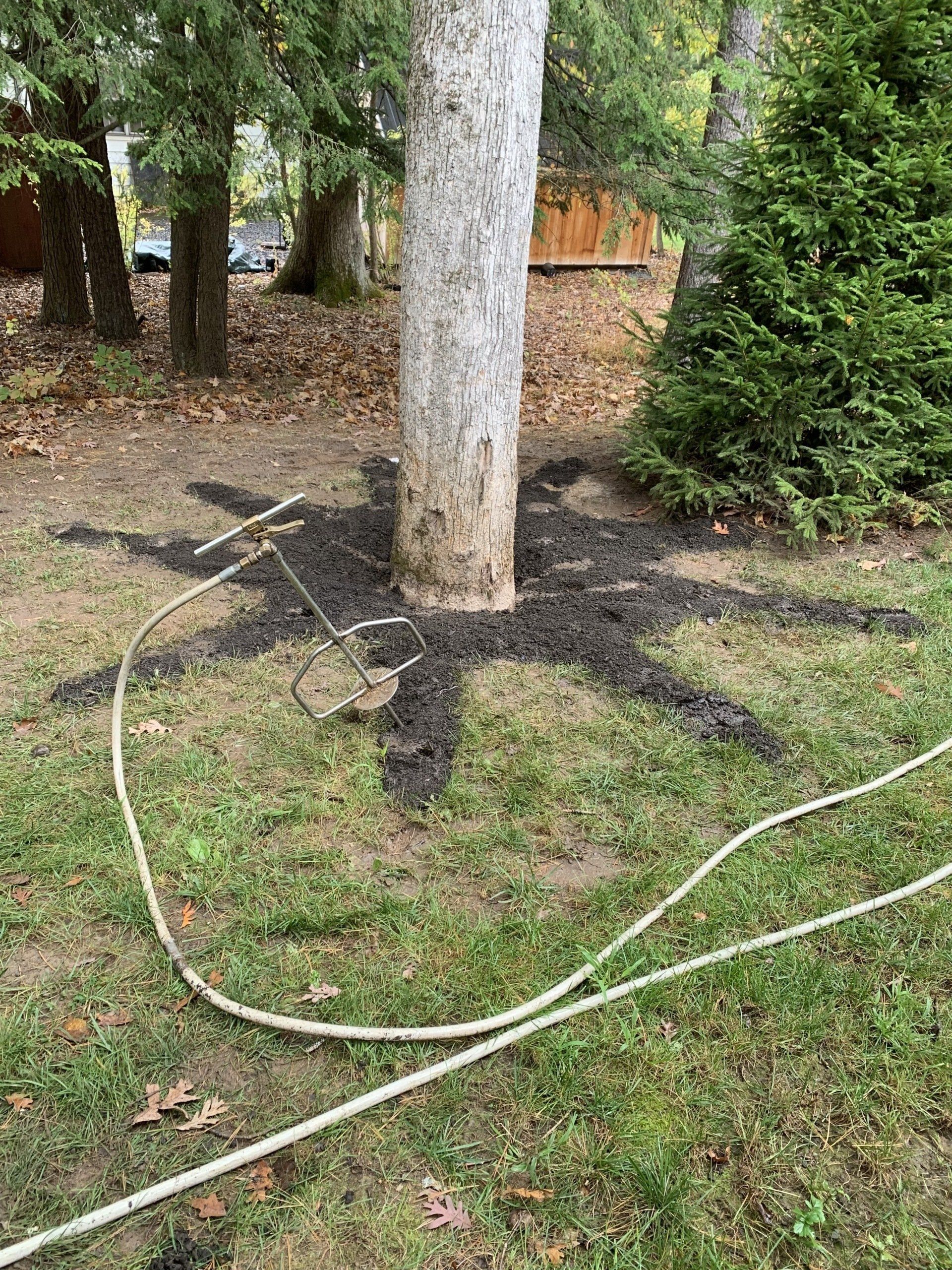 Watering Soil — Kingston, NY — Roots Up Plant Health Inc.