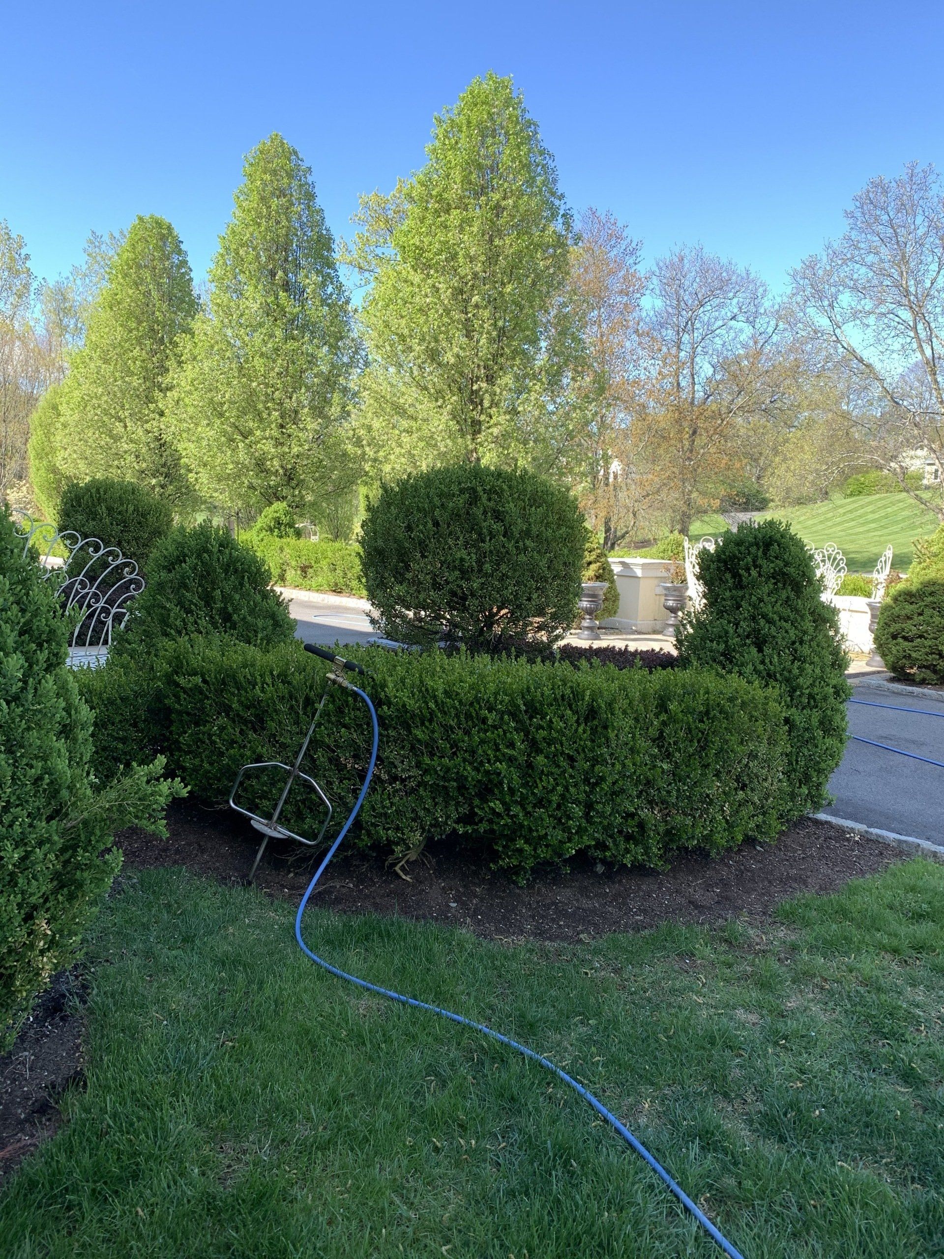 Bush Maintenance — Kingston, NY — Roots Up Plant Health Inc.