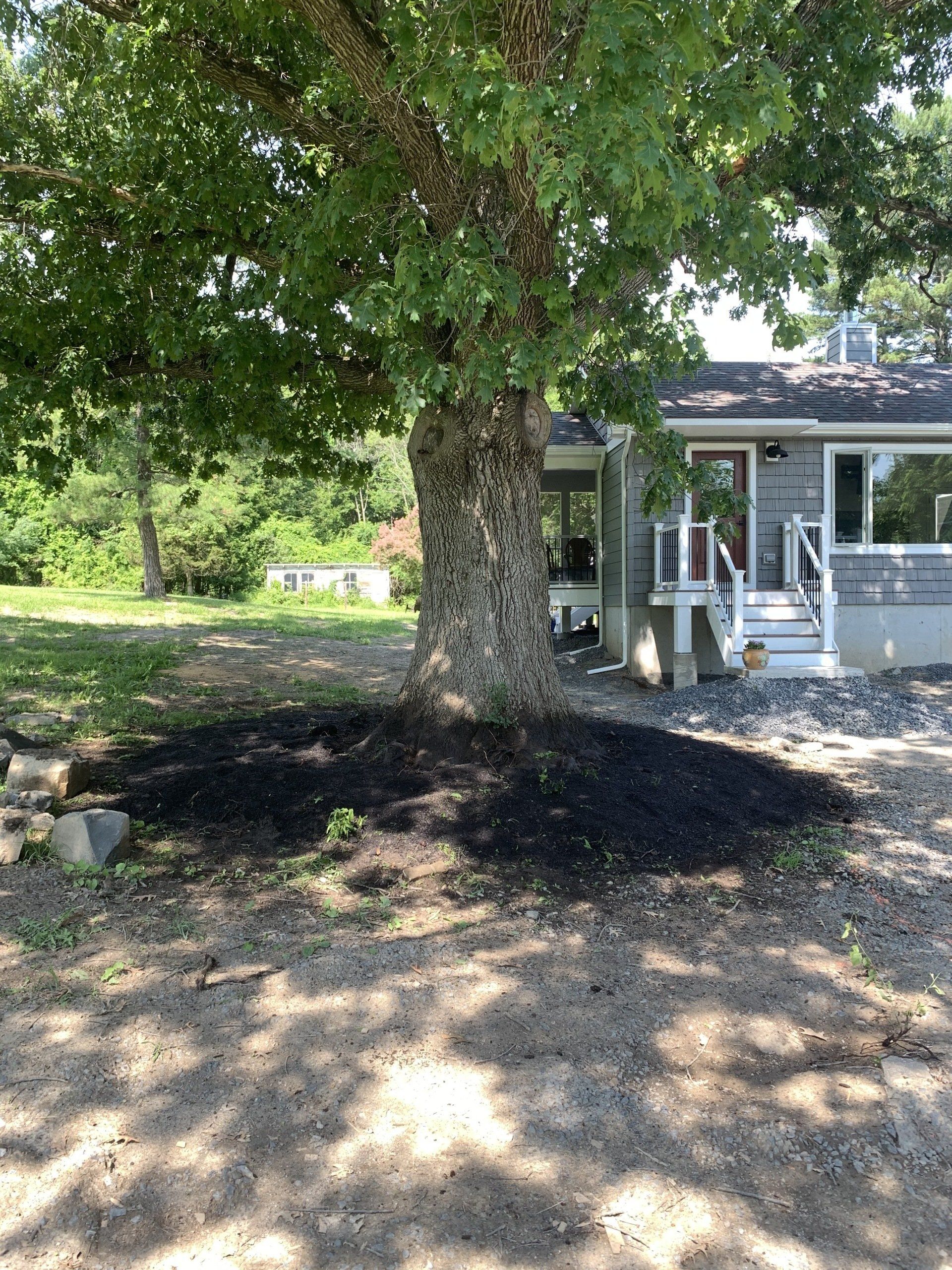 Black Soil — Kingston, NY — Roots Up Plant Health Inc.