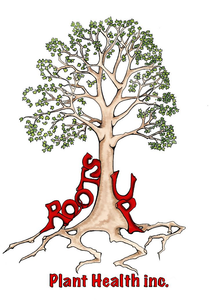 Roots Up Plant Health Inc.