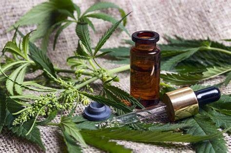 CBD Massage