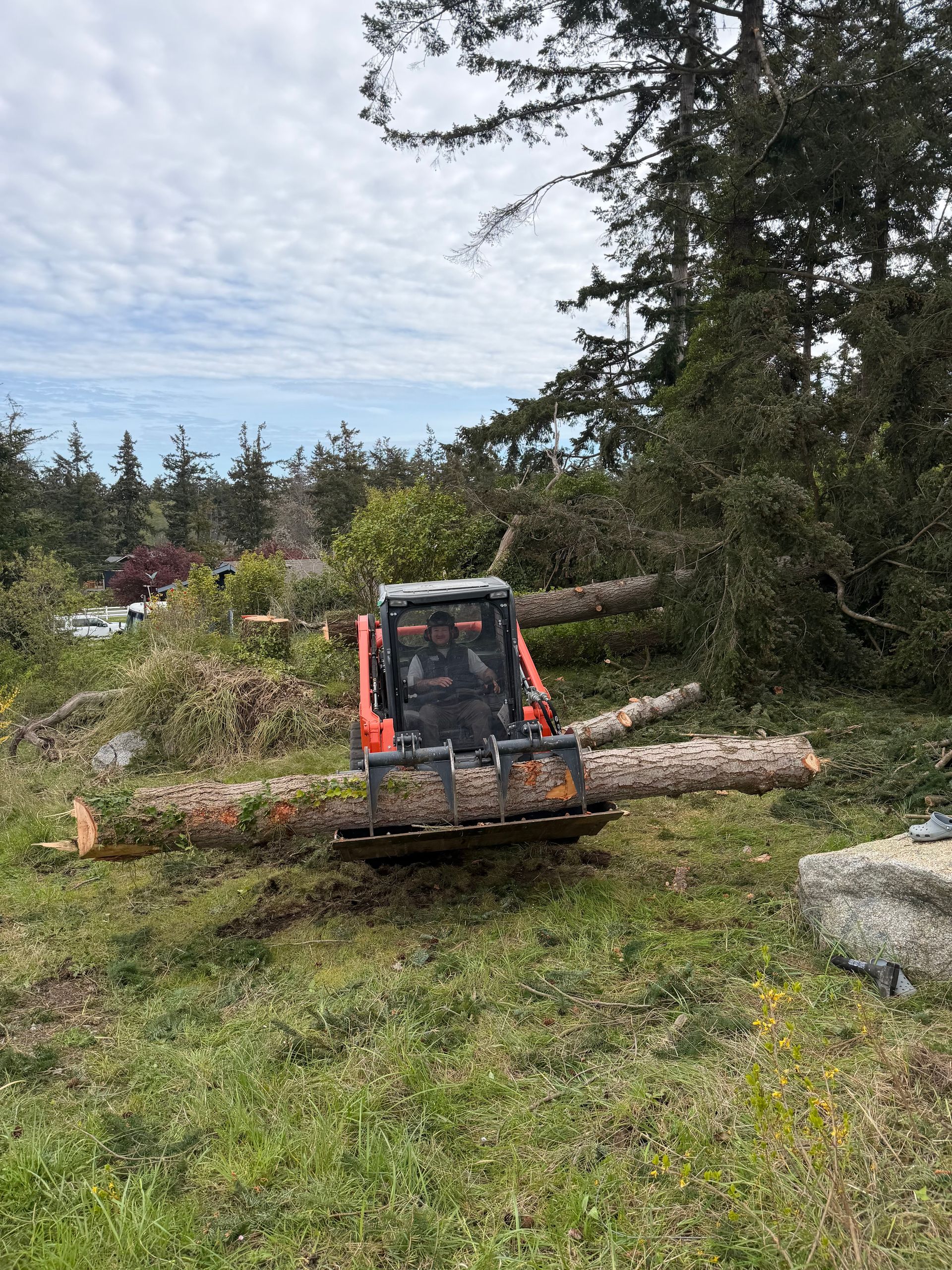 Small excavator clearing cut logs in a grassy wooded area under a cloudy sky