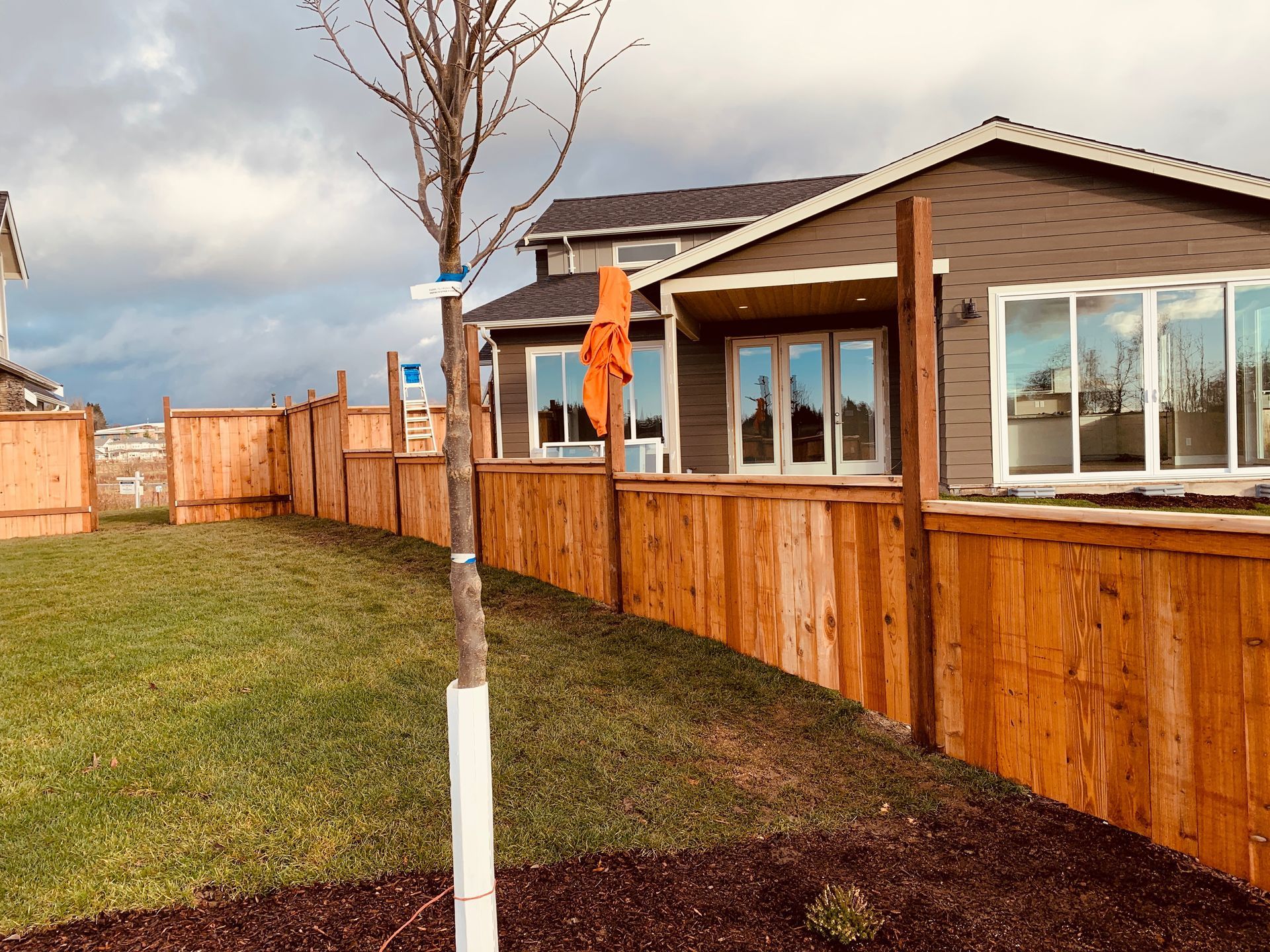 Suburban backyard with wooden fence, small tree, and a modern house with large windows and a deck chair.