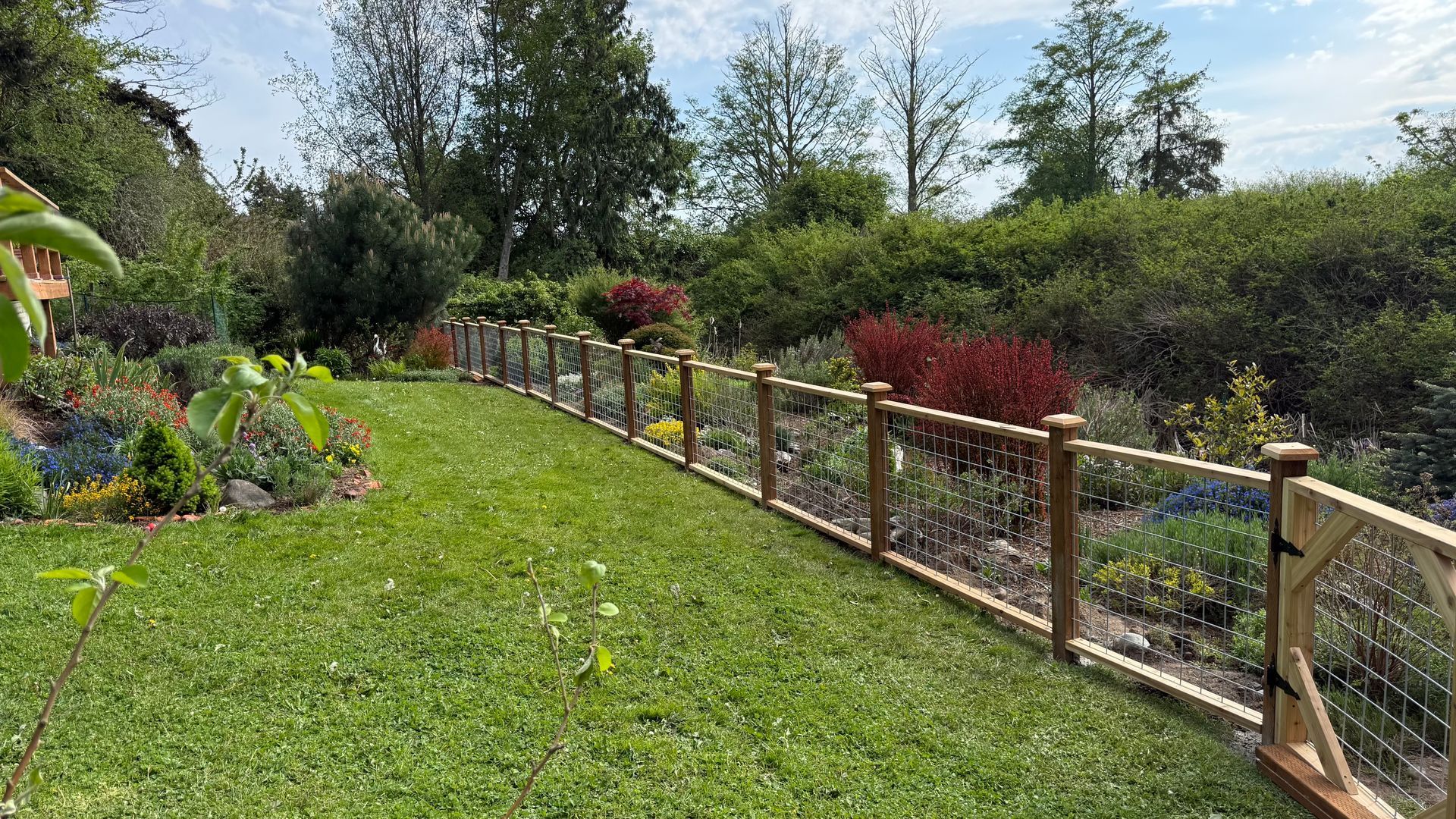 Sunlit garden path with a wooden fence, green lawn, and colorful flowers and shrubs along the edge