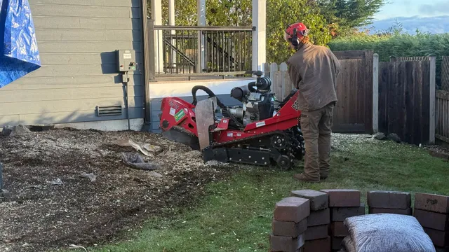 Person operating a red landscaping machine beside a house in a yard