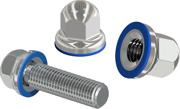 DOME NUTS & BOLTS 3-A