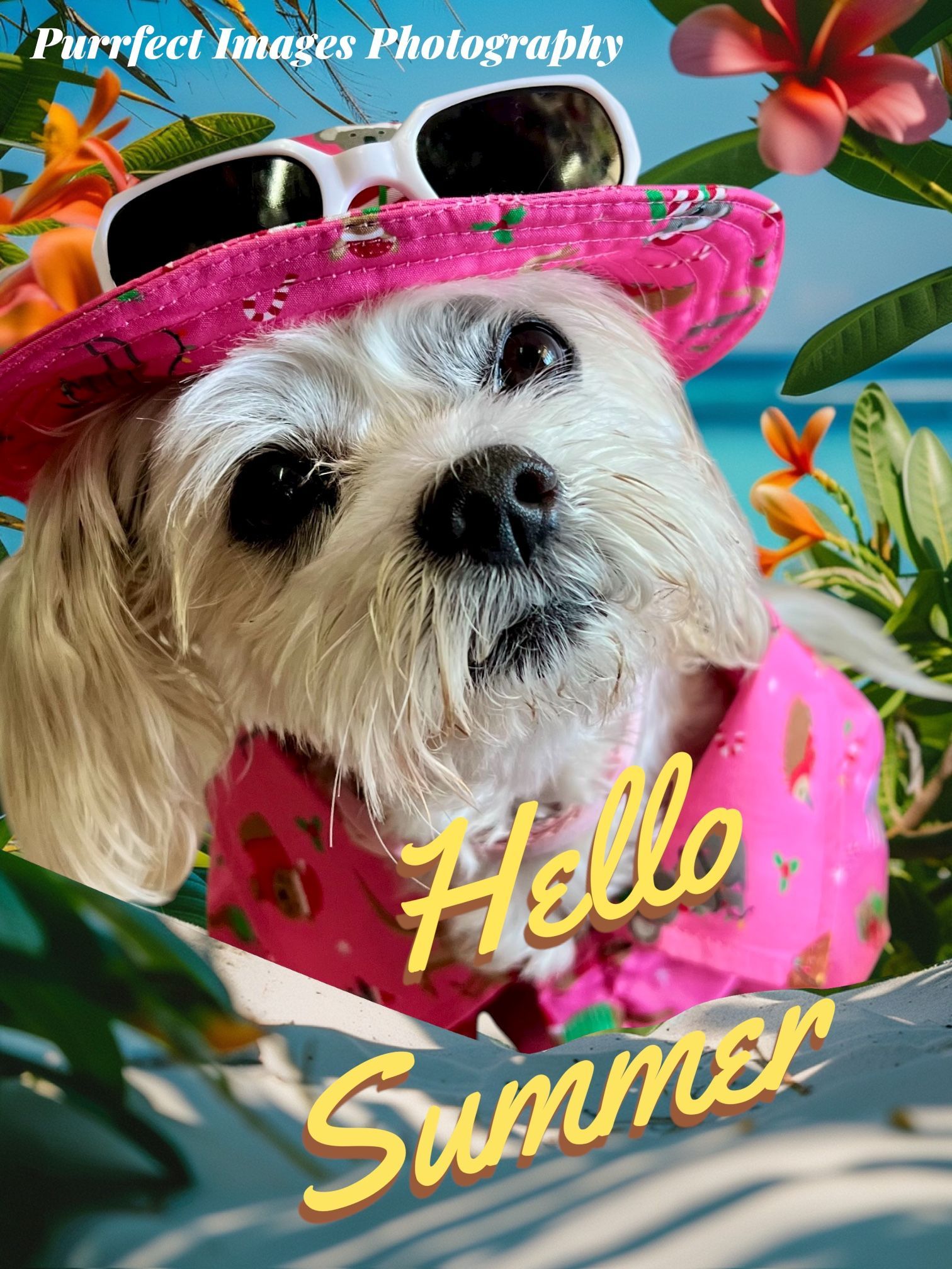 Dog Wearing a Tropical Costume, Posing in a Tropical Setting — Costumes Galore in Maroochydore, QLD