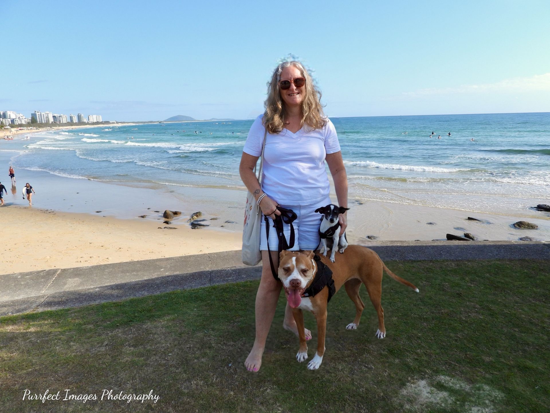 Woman Holding a Dog on a Sunny Beach With Ocean Waves in the Background — Costumes Galore In Maroochydore, QLD