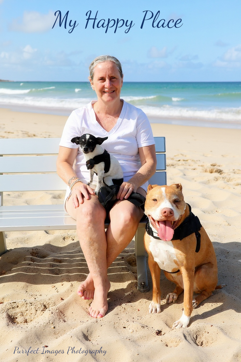 Woman Sitting on A Beach Bench with Two Dogs — Costumes Galore In Maroochydore, QLD