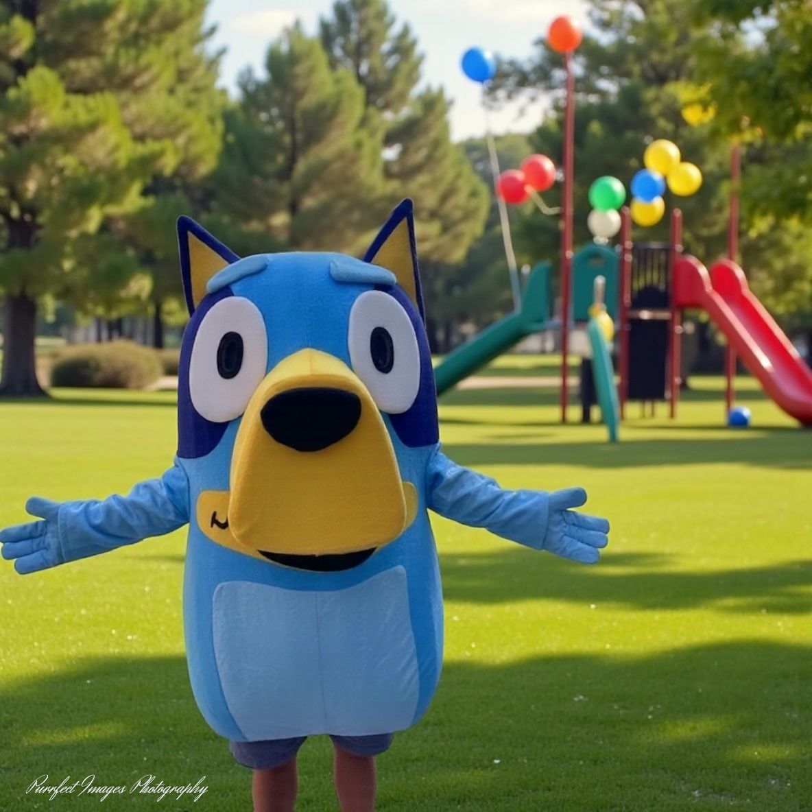 Bluey Costume in a Park — Costumes Galore in Maroochydore, QLD