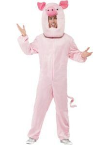 Person in a Pink Pig Costume, Arms Raised, Against a White Background — Costumes Galore in Maroochydore, QLD
