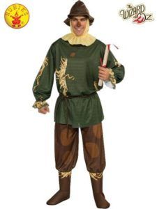 Scarecrow Costume From the Wizard of Oz — Costumes Galore in Maroochydore, QLD
