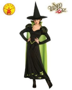 A Person Dressed in a Wicked Witch Costume — Costumes Galore In Maroochydore, QLD