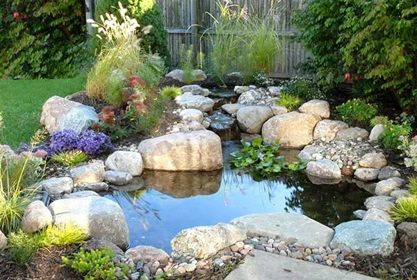 A small pond surrounded by rocks and plants in a backyard.