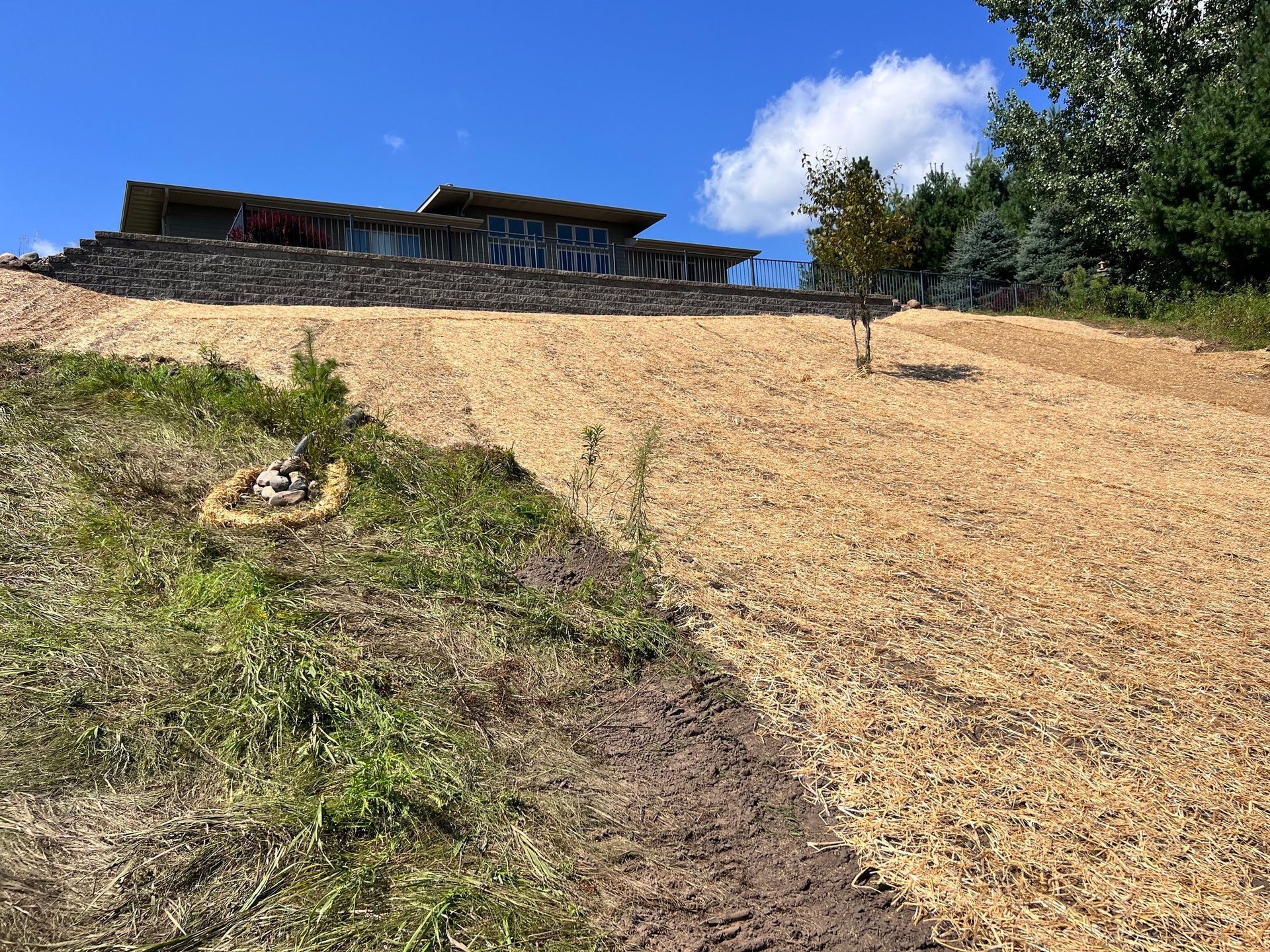 Sod and Seeding