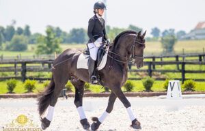 Rider on a black horse performing dressage in an outdoor arena