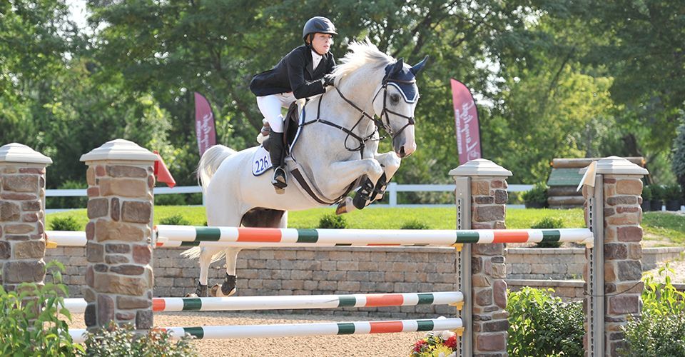 Horse and rider clearing a jump in an outdoor equestrian show ring.