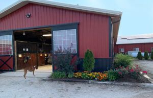 Red barn-style stable with open doors, a horse at the entrance, and flower beds in front