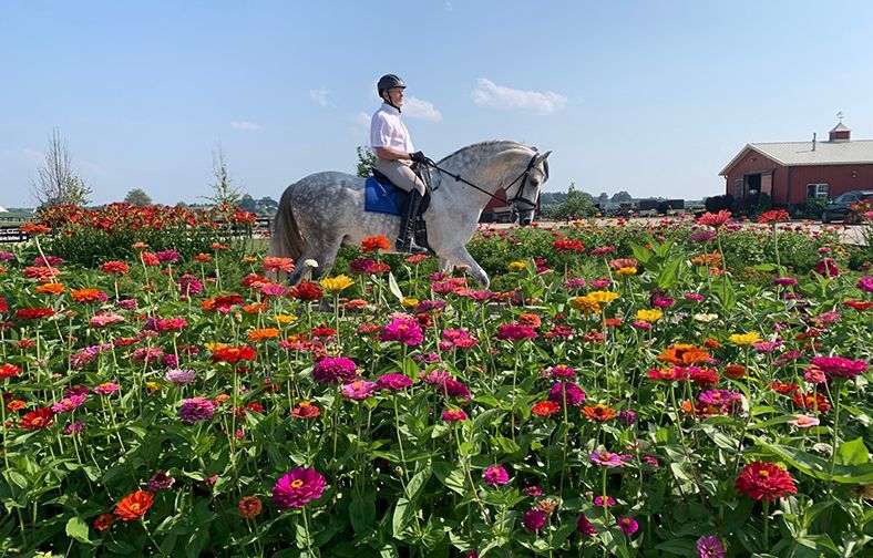 Person riding a white horse through a field of colorful flowers under a blue sky