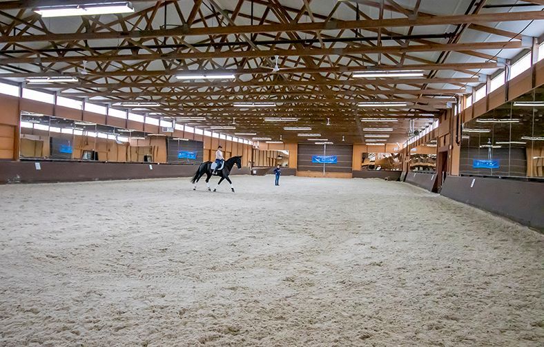 Indoor riding arena with a horse and rider trotting on a sandy floor