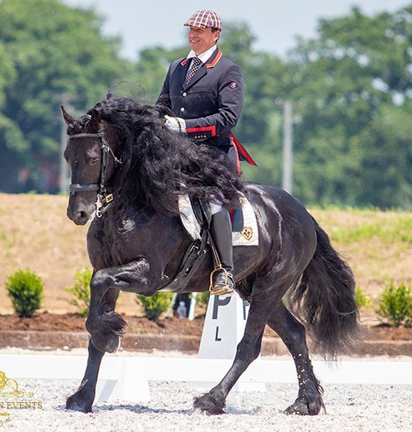 Black horse and rider in formal attire performing in a dressage arena outdoors