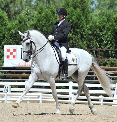 White horse and rider in black dressage attire performing in an outdoor arena