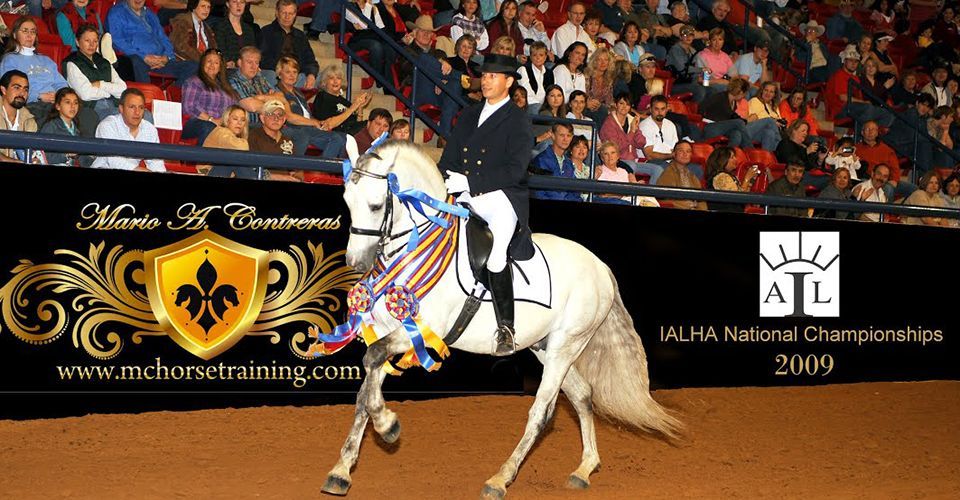 Horse and rider performing in an indoor arena before a cheering crowd