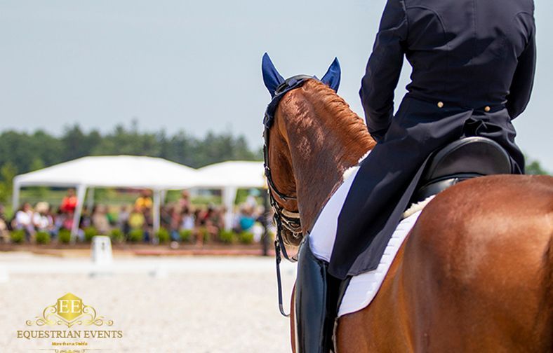 Rider on a chestnut horse in an equestrian arena, viewed from behind with spectators and tents in the background