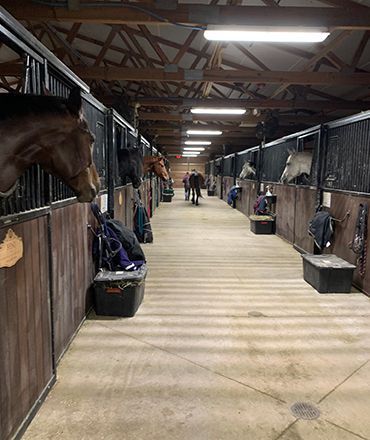 Covered horse stable aisle with horses in stalls and people walking in the distance