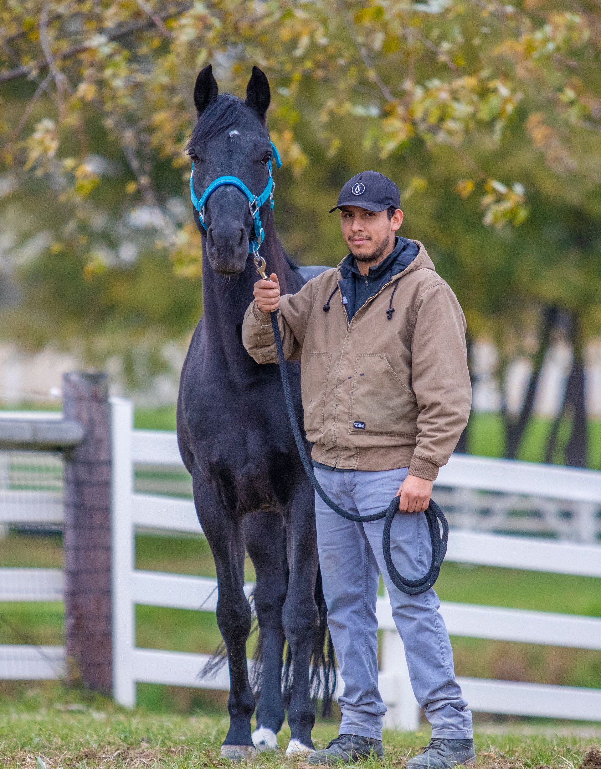 Man standing beside a black horse on a lead rope in a fenced pasture with autumn trees in the background