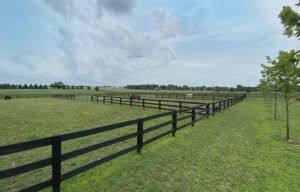 Black fence lines a green pasture under a cloudy sky with a tree at right.
