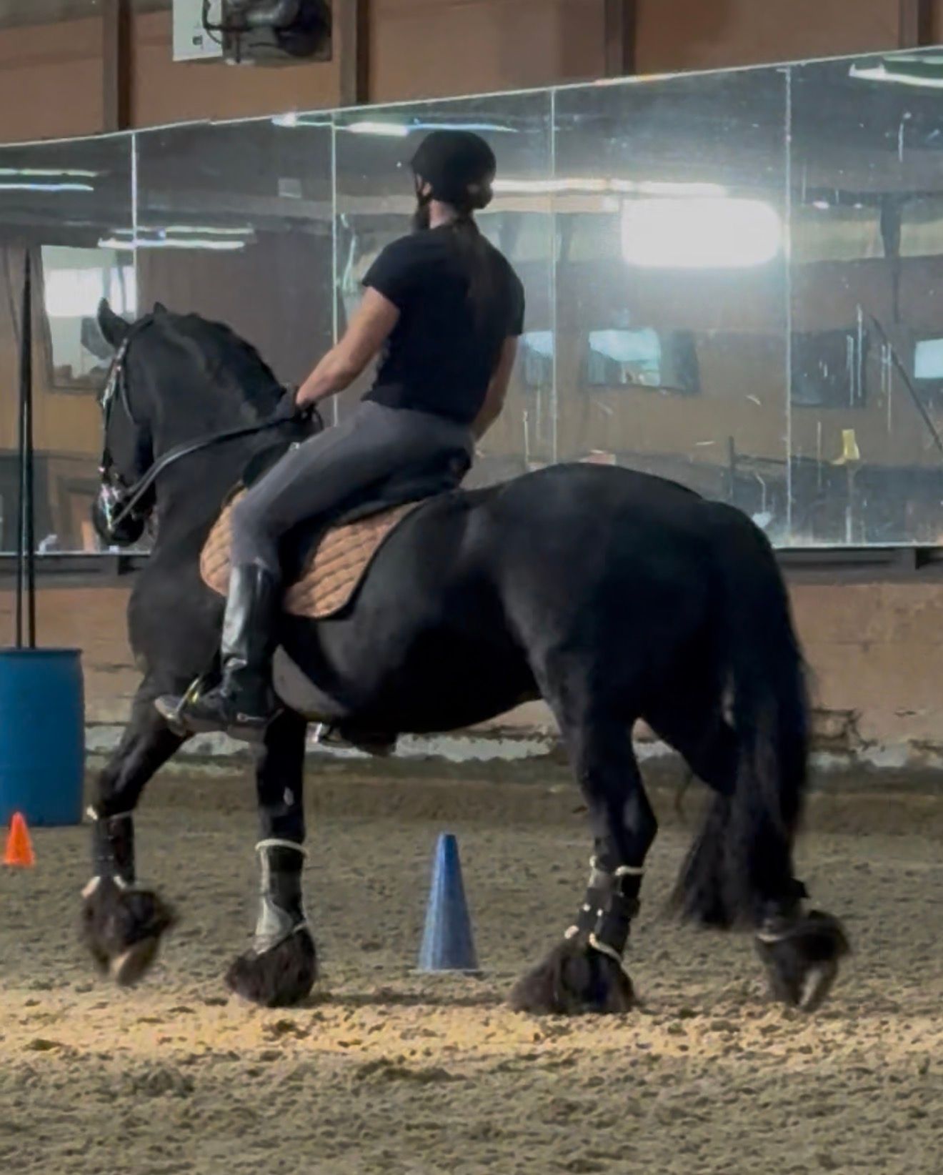 Rider on black horse performing in an indoor arena with mirrors and training cones.
