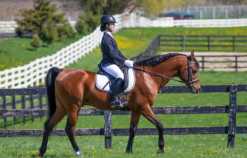 Horse and rider in navy attire walking in a grassy field by a black fence