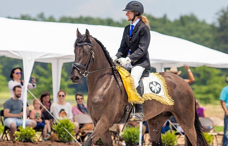 Equestrian rider in helmet on brown horse with yellow saddle blanket at outdoor show