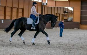 Rider on a black horse indoors, with a trainer nearby in an equestrian arena