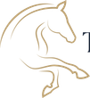 Gold line-art horse head logo on a white background