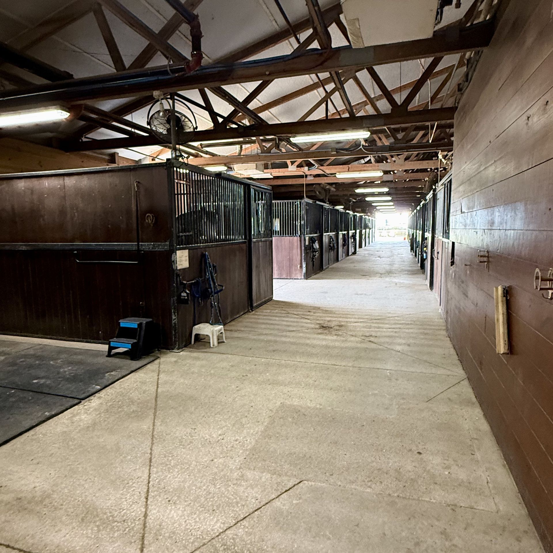 Stable corridor with horse stalls and a bright exit at the far end