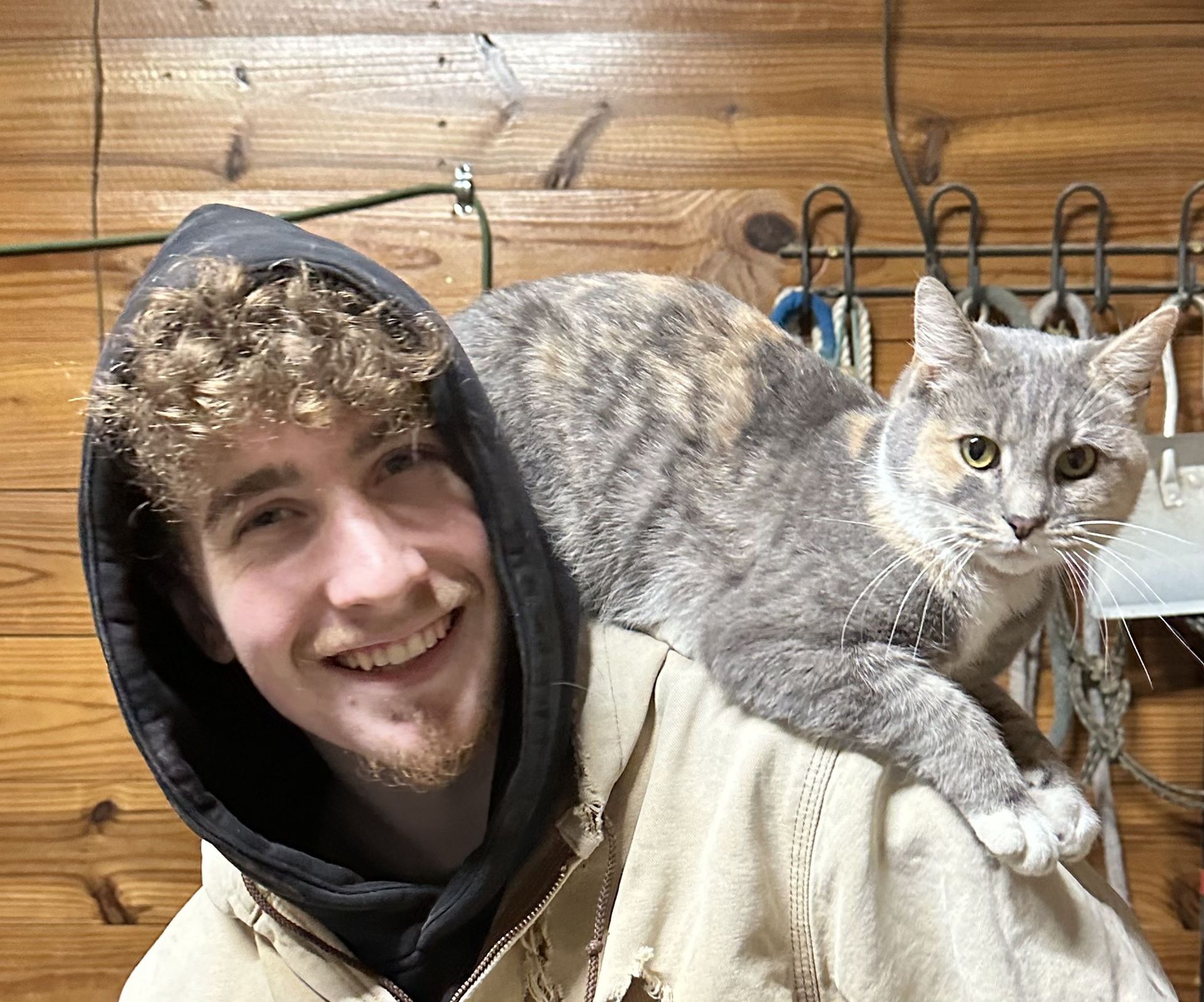 Person smiling indoors with a gray cat perched on their shoulder, in a wooden-walled room