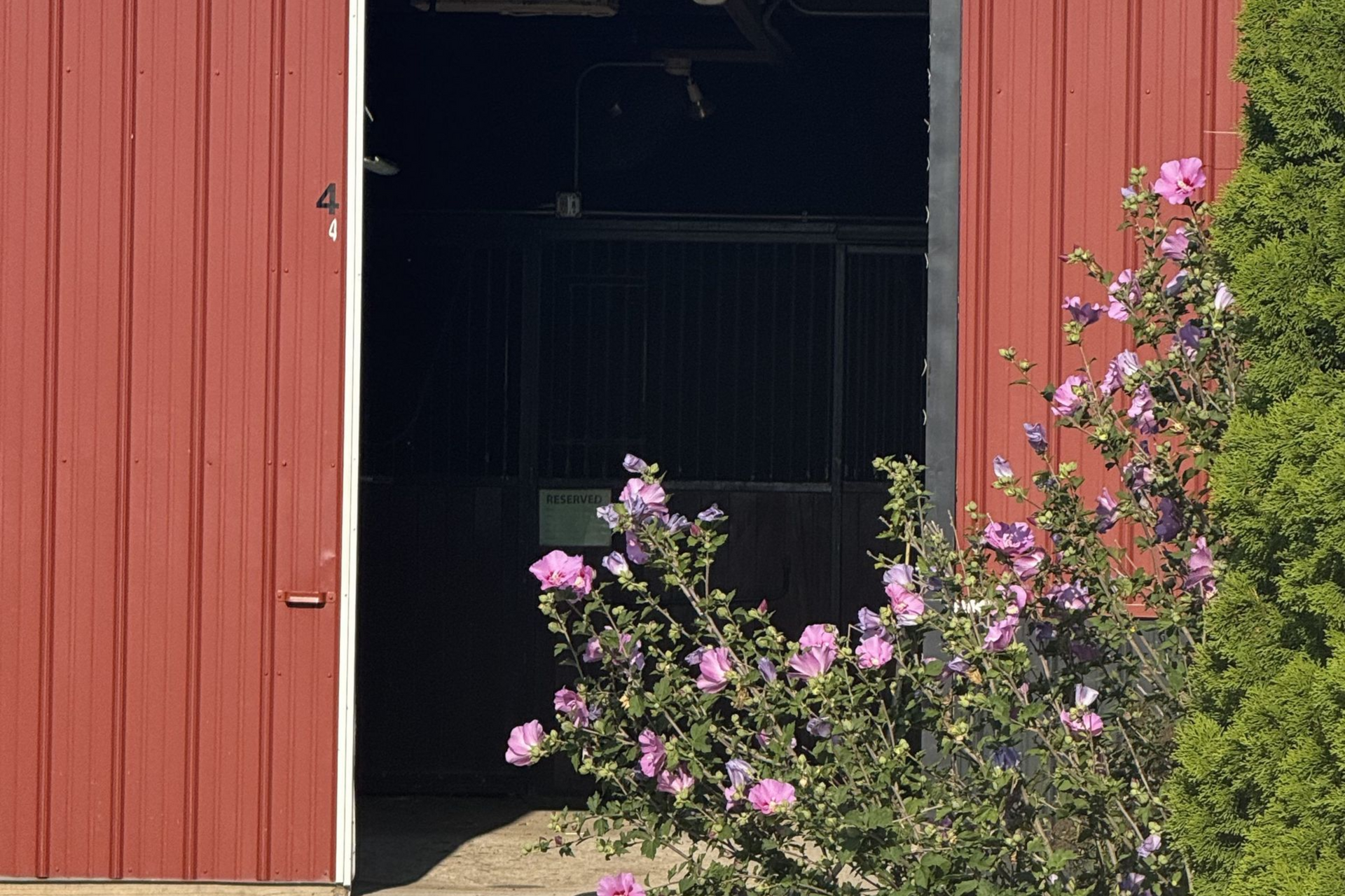 Red barn doorway with dark interior, framed by pink flowers and green foliage.