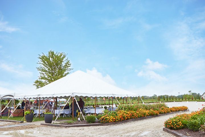White event tent beside colorful flower beds under a blue sky in a landscaped park