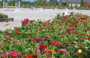 Colorful flower bed beside a gravel plaza with white posts and a building in the background