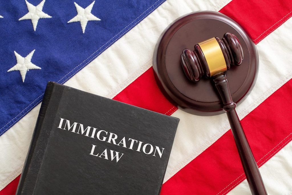 Immigration law book and judge’s gavel on a U.S. flag background