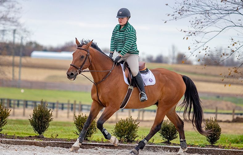 Rider in green striped shirt on a brown horse outdoors on a path under an overcast sky