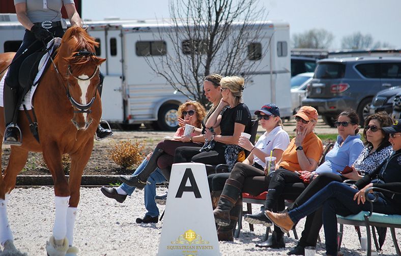 Horse and rider passing spectators seated beside a dressage arena marker A