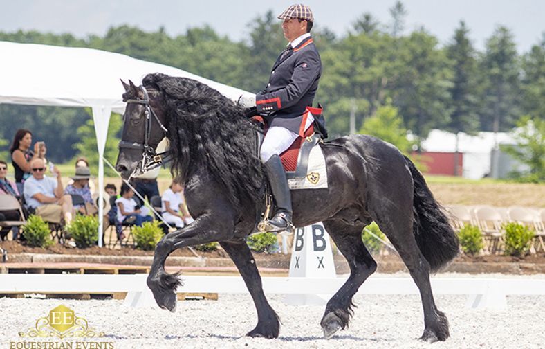 Black horse with rider performing a dressage step in an outdoor arena.