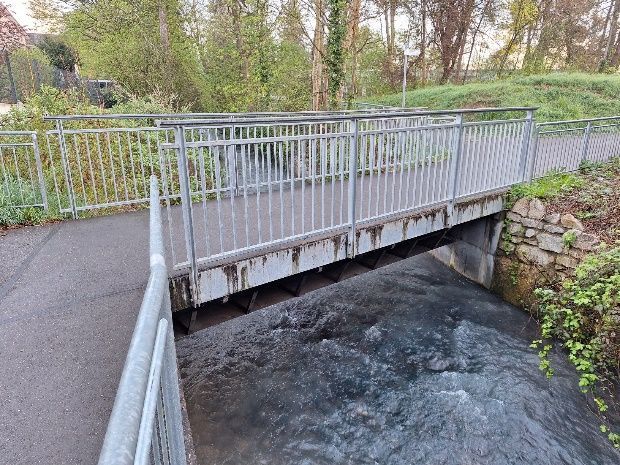 Metallene Fußgängerbrücke über einen rauschenden Bach in einem bewaldeten Park.